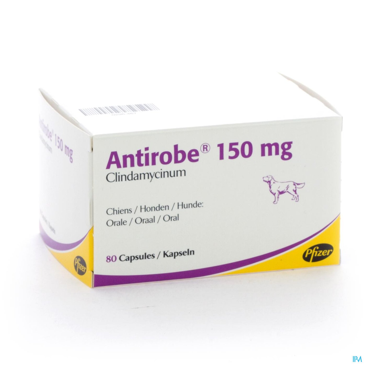 Antirobe Caps 150mg 80 (8x10) packshot
