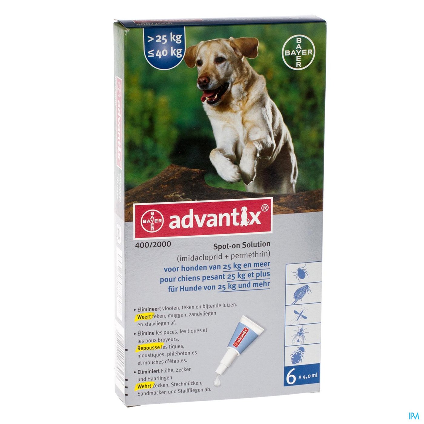 Advantix 400/2000 Honden 25<40kg Fl 6x4,0ml packshot